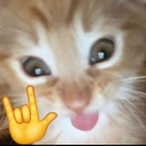 Telegram profile photo for Подвал принцесс