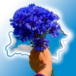 Telegram profile photo for МЫ РАЗАМ