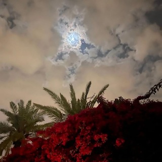 Telegram profile photo for مًشُآعٌـــــــر حًزٍيَنِهّ