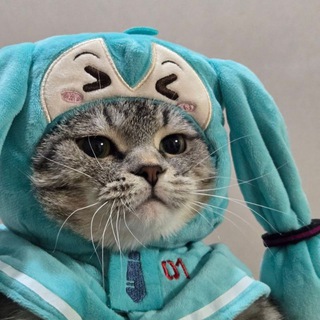 Telegram profile photo for обычный ярик никому ненужен/wolfram