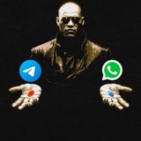 Telegram profile photo for WhatsApp Vs Telegram