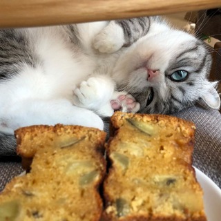 Telegram profile photo for ТОЛЬКО РОЖИГРЫШИ (";("