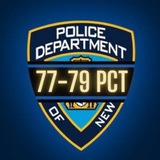 Telegram profile photo for TSL - NYPD 77/79 PCT