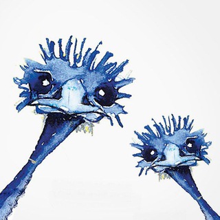 Telegram group profile photo for Ostrich Gathered