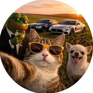 Telegram profile photo for AlphaToshi Gems