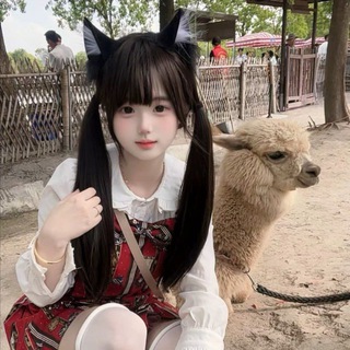 Telegram profile photo for SYOU食右右🈚🐰專門店主板