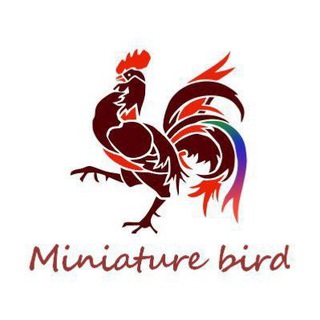 Telegram profile photo for مینیاتوربرد
