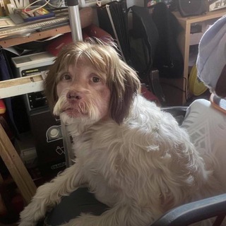 Telegram profile photo for хейт техно
