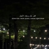 Telegram profile photo for 🌙زم