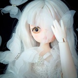 Telegram profile photo for ~Sweet Home~