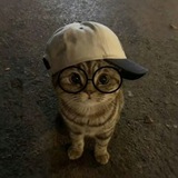 Telegram profile photo for А²