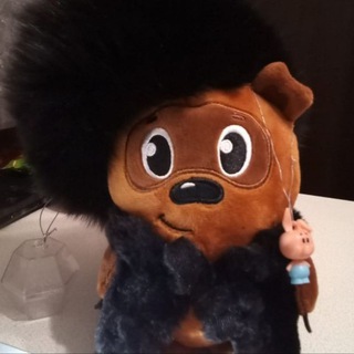 Telegram profile photo for КАНАЛ ЛЕСНИКА ☼