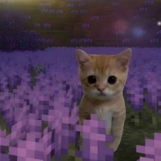 Telegram profile photo for купить физ
