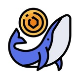 Telegram profile photo for Marco Diversi | Make Money Online