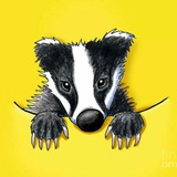Telegram profile photo for One day one badger
