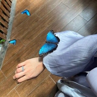 Telegram profile photo for ـ آثـࢪ فـࢪآشِـۿ 𓏺𓏺 🦋𐦍⤹.