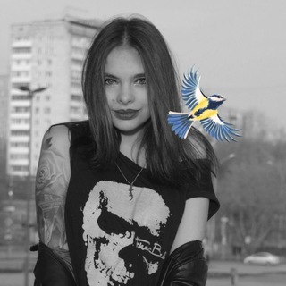 Telegram profile photo for Птица синица