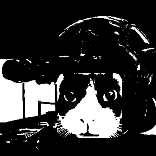 Telegram profile photo for www.-underreview-.com