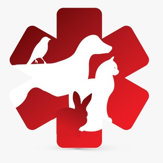 Telegram profile photo for اطلاع رساني دروس کارورزی ۱