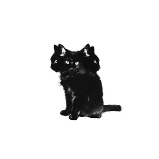 Telegram profile photo for Отзывы: Tontsacu