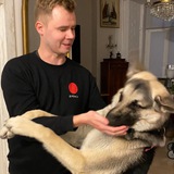 Telegram profile photo for Господин Зеленов