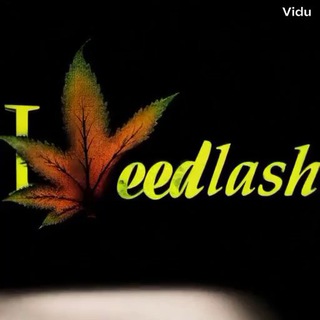 Telegram profile photo for ویدلش | weedlash