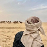 Telegram profile photo for مسري