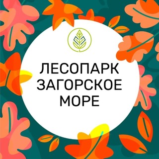 Telegram profile photo for Лесопарк «Загорское море»