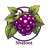 Telegram profile photo for ⃟▼شـــاتـــوـتــ َِِ| َِِshatoot َِِ ⃟▼