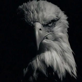 Telegram profile photo for أمواج الأطلس 🌊
