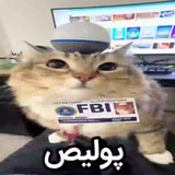 Telegram profile photo for دفترچه خاطرات یک گورب فن 😼