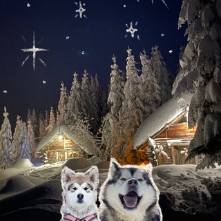Telegram profile photo for Горная Усадьба Мяо-Чан