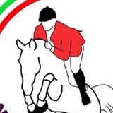 Telegram profile photo for آکادمی سوارکاری ملی