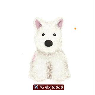 Telegram profile photo for 总部全岗官方直聘频道