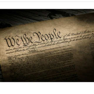 Telegram profile photo for Michiganders For Constitutional Rights🇺🇸