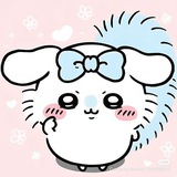 Telegram profile photo for 14dwy прайс