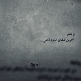 Telegram profile photo for کوچه عاشقی