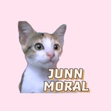 Telegram profile photo for JUNN MORAL