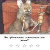 Telegram profile photo for чаща всего