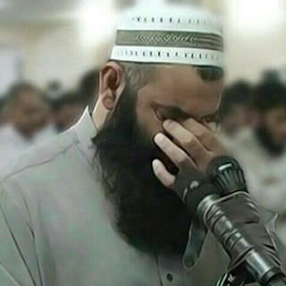 Telegram profile photo for ماموستارمضان شکور