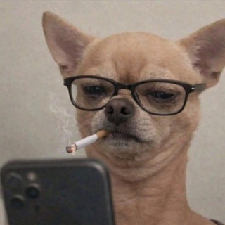Telegram profile photo for Гроші за реєстрацію + 30% кешбек на покупки
