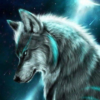 Telegram profile photo for Яолгиз бори
