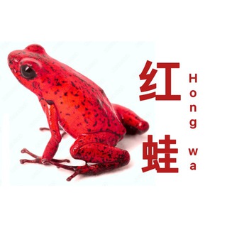 Telegram profile photo for Китайский с красной лягушкой Hongwa