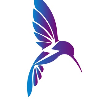 Telegram profile photo for ✈️ 闪速加速器 公告频道