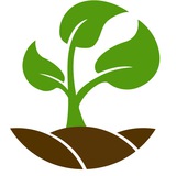 Telegram profile photo for Сімейний розсадник "Рідний сад" (КАНАЛ)