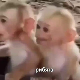 Telegram profile photo for Хаммам