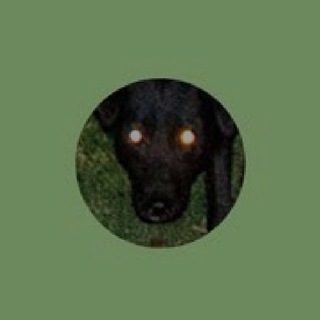 Telegram profile photo for Разыскания одной собаки