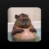 Telegram profile photo for Отзывы от рекламодателей