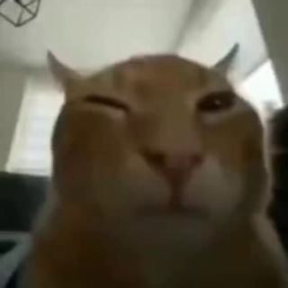 Telegram profile photo for ахмат