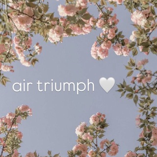 Telegram profile photo for Air Triumph🌷